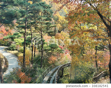 Hwadam Forest Botanic Garden small shuttle train car metal railway to Red Orange maple leaves trees in deep forest 108182541