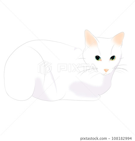 white cat 10 108182994