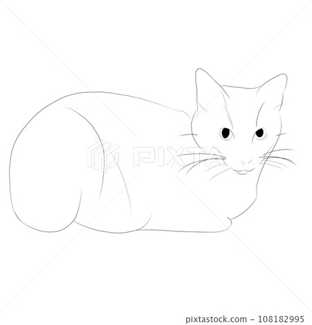 Cat line drawing 10 Cat line drawing 10 108182995