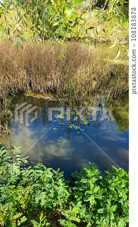 A large pond surrounded by trees and plants. Camping. Autumn landscape. A large pond surrounded by trees and plants. Camping. Autumn landscape. 108183878
