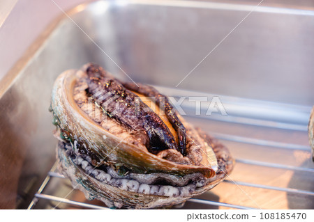 Abalone Live abalone 108185470
