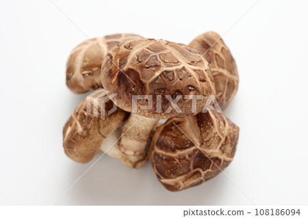 東科香菇 白色背景 白色背景 108186094