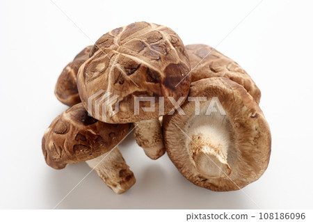 東科香菇 白色背景 白色背景 108186096
