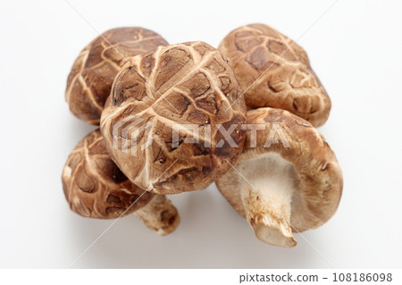 東科香菇 白色背景 白色背景 108186098