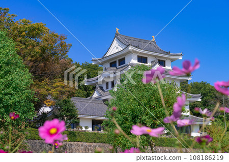 Asahi Castle and cosmos in full bloom <Owariasahi City, Aichi Prefecture> 108186219