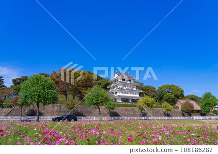 朝日城和盛開的波斯菊<愛知縣尾張旭市> 108186282