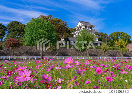 朝日城和盛開的波斯菊<愛知縣尾張旭市> 108186283