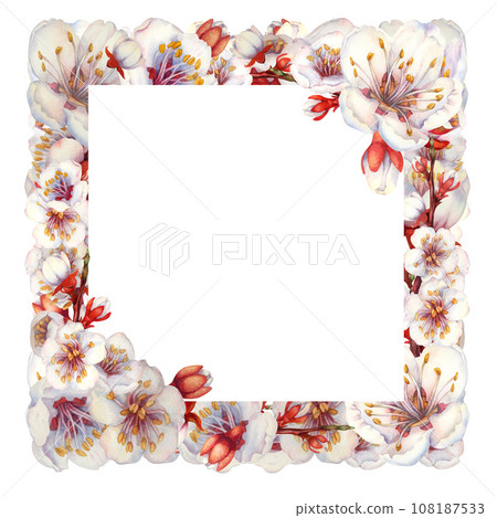 Watercolor square frames of blooming apricot branches and flowers 108187533