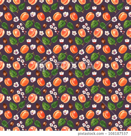 Watercolor seamless patterns of orange apricot, blooming apricot branches and flowers 108187537