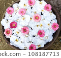 Flowers floating on water 108187713