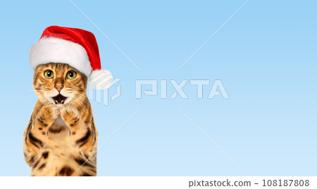 Bengal cat wearing Santa hat, Christmas concept 108187808