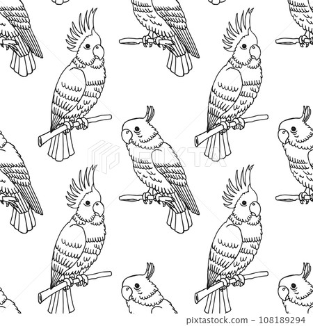 Seamless pattern, hand-drawn tropical birds parrots. Black and white print, background. Outline drawing, sketch. Vector Seamless pattern, hand-drawn tropical birds parrots. Black and white print, background. Outline drawing, sketch. Vector 108189294
