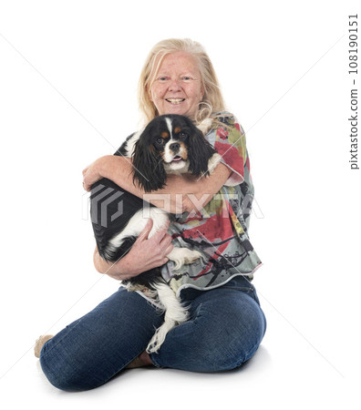 cavalier king charles and woman cavalier king charles and woman 108190151