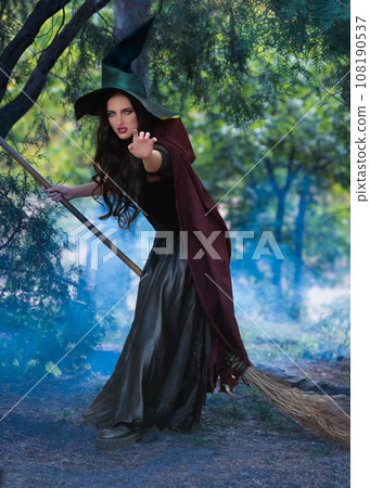 A portrait of a young sexy witch with outside. Magic, dark force, spell. Witchcraft. Halloween. 108190537
