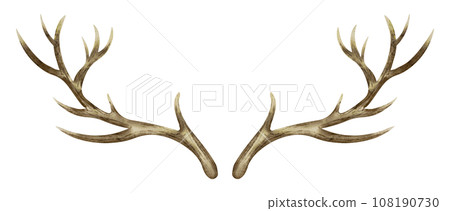 Deer Horns. Watercolor hand drawn illustration of reindeer Antler on isolated background. Clip art of dry bare branch. Drawing of buck stag part of skull. Sketch of brown leafless bough. 108190730
