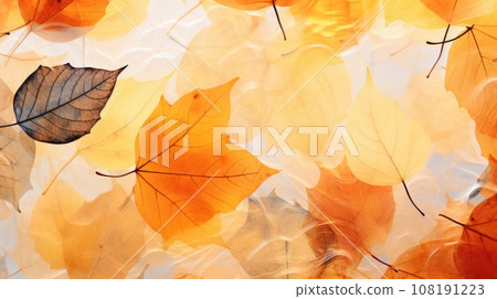 Translucent fallen autumn leaves. Fall autumn background 108191223