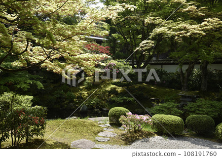 Sengokuji Temple Gyoen Park Sengokuji Temple Gyoen Park 108191760