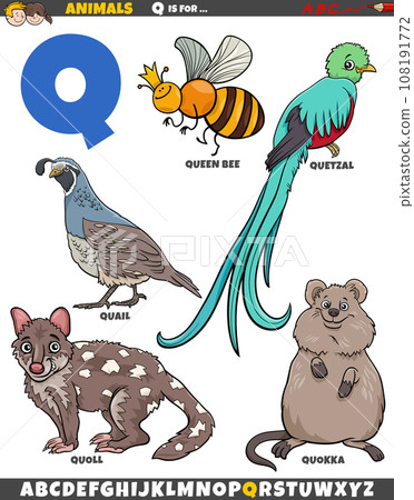 cartoon animal characters for letter Q educational set cartoon animal characters for letter Q educational set 108191772