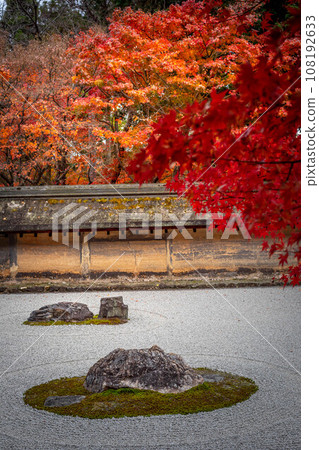龍安寺的秋天，岩石庭園中最美的紅葉，以及築地牆的陰鬱色調“油土部” 108192633