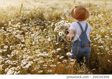 A small child girl in denim overalls collects daisies A small child girl in denim overalls collects daisies 108192806