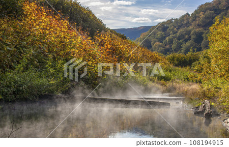 Kamchatka peninsula thermal springs in the forest Kamchatka peninsula thermal springs in the forest 108194915