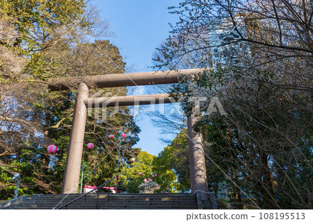 茨城縣水戶的春天,供奉水戶小紋的常盤神社大鳥居 茨城縣水戶的春天,供奉水戶小紋的常盤神社大鳥居 108195513