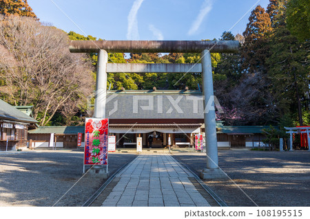 茨城水戶的春天，供奉水戶小紋的常盤神社的參道 108195515