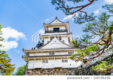 Kochi Castle castle tower 108196296