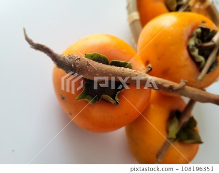 準備從花園製作柿乾 108196351