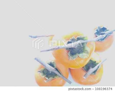 準備從花園製作柿乾 準備從花園製作柿乾 108196374