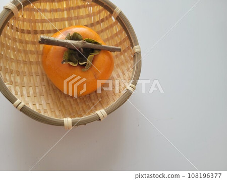 Preparing to make dried persimmons from the garden 108196377
