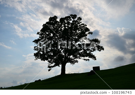 View of Mt.Azuma 108196743