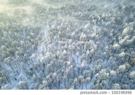 Aerial view of snow covered white forest with frozen trees in cold winter. Dense wild woodland in wintertime Aerial view of snow covered white forest with frozen trees in cold winter. Dense wild woodland in wintertime 108196996