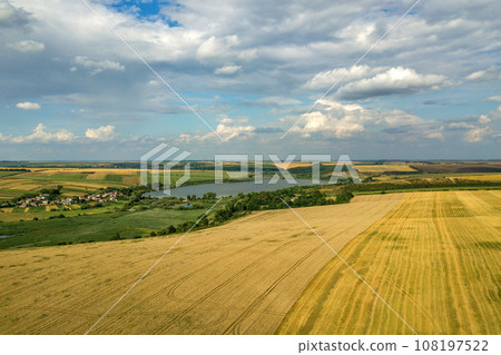 Aerial rural landscape with yellow patched agriculture fields and blue sky with white clouds. 108197522