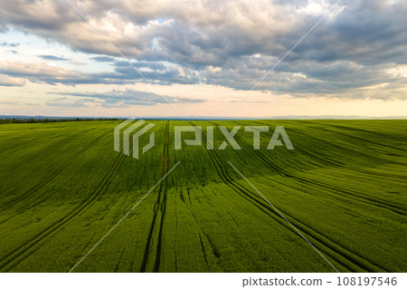 Aerial landscape view of green cultivated agricultural fields with growing crops on bright summer day. Aerial landscape view of green cultivated agricultural fields with growing crops on bright summer day. 108197546