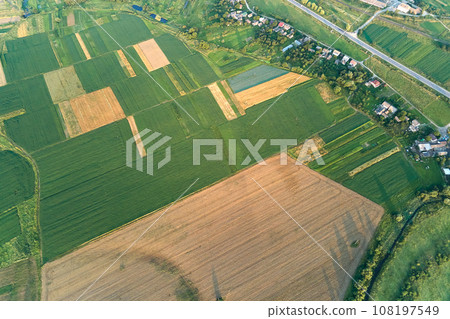 Aerial landscape view of green and yellow cultivated agricultural fields with growing crops on bright summer day 108197549