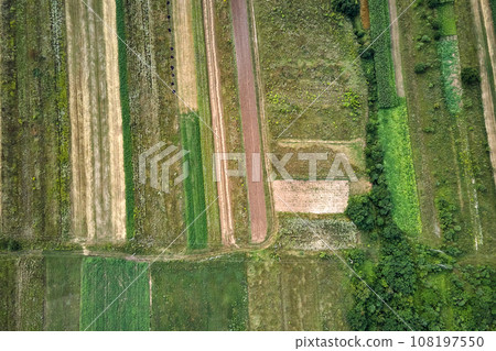 Aerial landscape view of green and yellow cultivated agricultural fields with growing crops on bright summer day 108197550