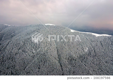 Aerial foggy landscape with evergreen pine trees covered with fresh fallen snow after heavy snowfall in winter mountain forest on cold quiet evening. Aerial foggy landscape with evergreen pine trees covered with fresh fallen snow after heavy snowfall in winter mountain forest on cold quiet evening. 108197566