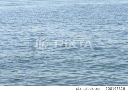 海 海 108197826