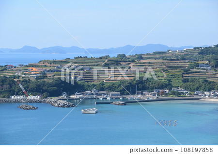 上浜和潮見的梯田 上浜和潮見的梯田 108197858