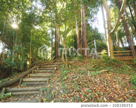 Dead leaves and mountain path Dead leaves and mountain path 108198353