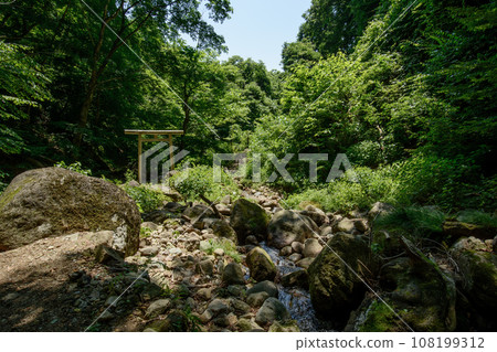 建在森林中的簡易鳥居 建在森林中的簡易鳥居 108199312