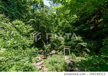 建在森林中的簡易鳥居 建在森林中的簡易鳥居 108199313