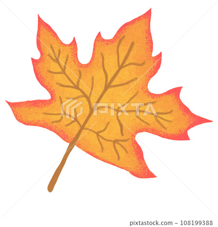 autumn maple leaf autumn maple leaf 108199388
