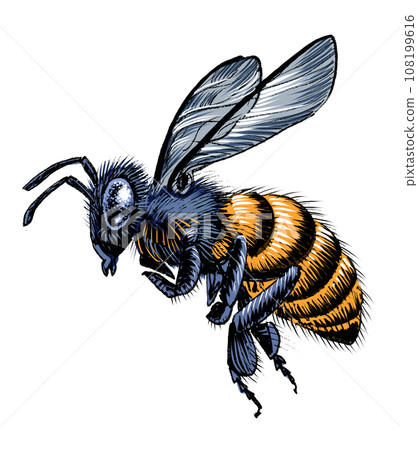 Flying bee. Hand-drawn ink on paper and hand-colored on tablet 108199616