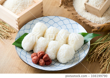 Salted rice balls and white rice 108199790