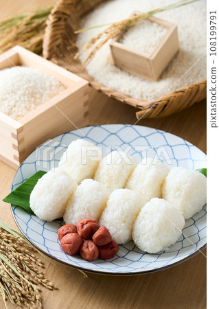 Salted rice balls and white rice 108199791