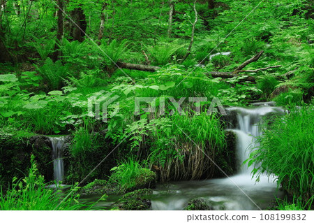 瀑布流過綠色 108199832