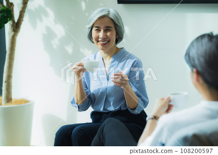 Senior couple talking in the living room Senior couple talking in the living room 108200597