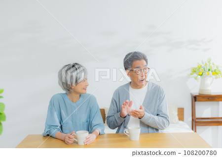 Gray-haired couple in the living room 108200780